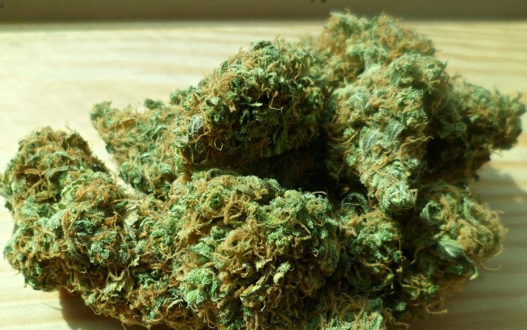 Comment contacter un grossiste en CBD ?