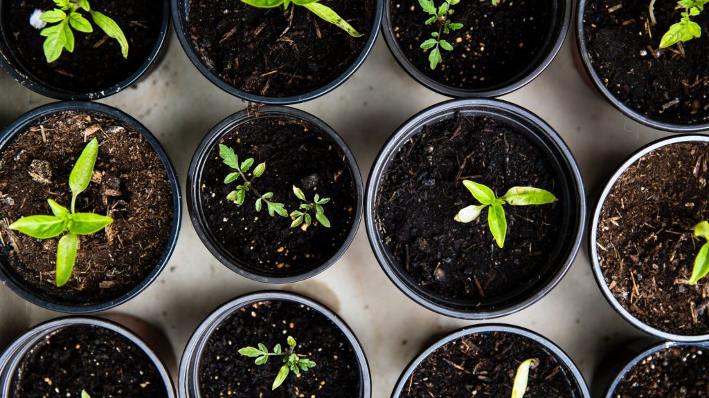Quel est le taux horaire d&rsquo;un jardinier à domicile ?