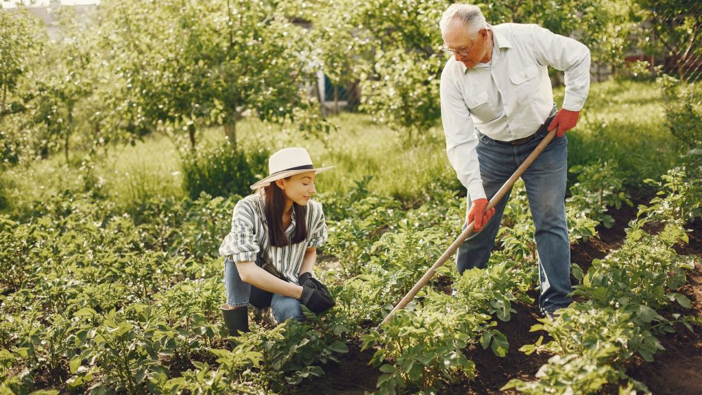 Comment obtenir une aide au jardinage pour les personnes âgées : Qui contacter ?