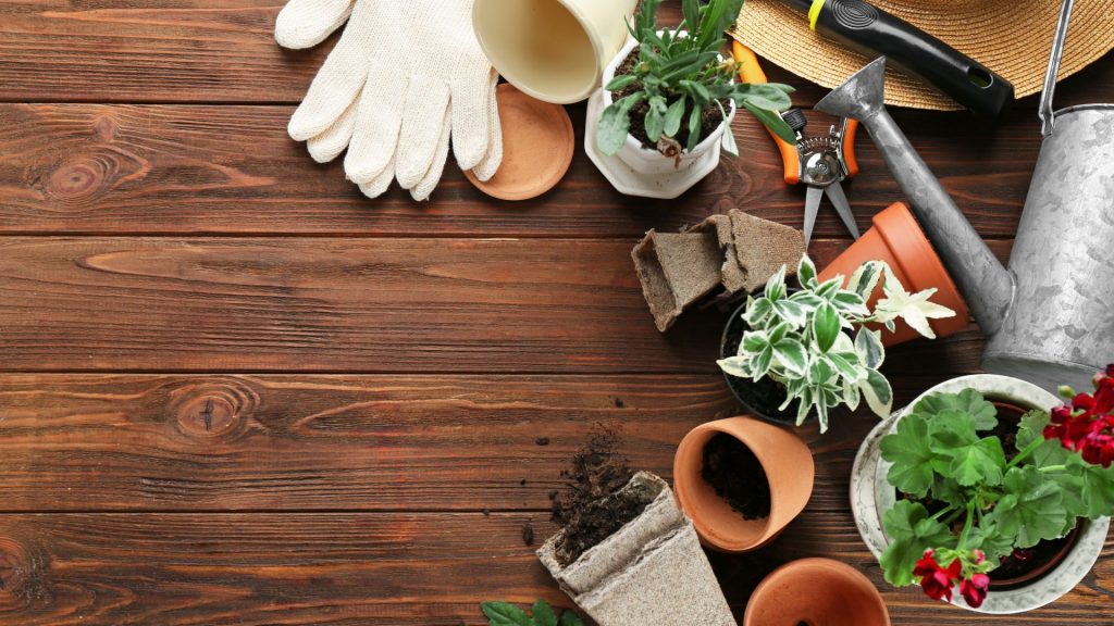Les conseils des pros du jardinage pour les débutants