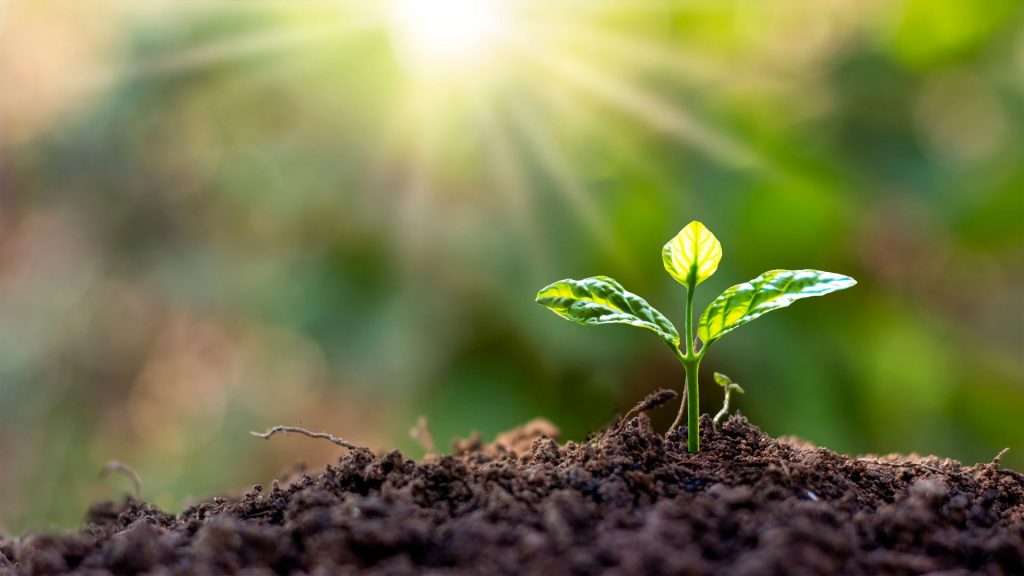 Comment réussir son jardinage