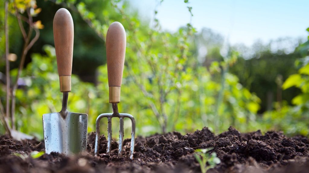 Ce qu&rsquo;il faut savoir sur le service à la personne et le jardinage pour un auto-entrepreneur.