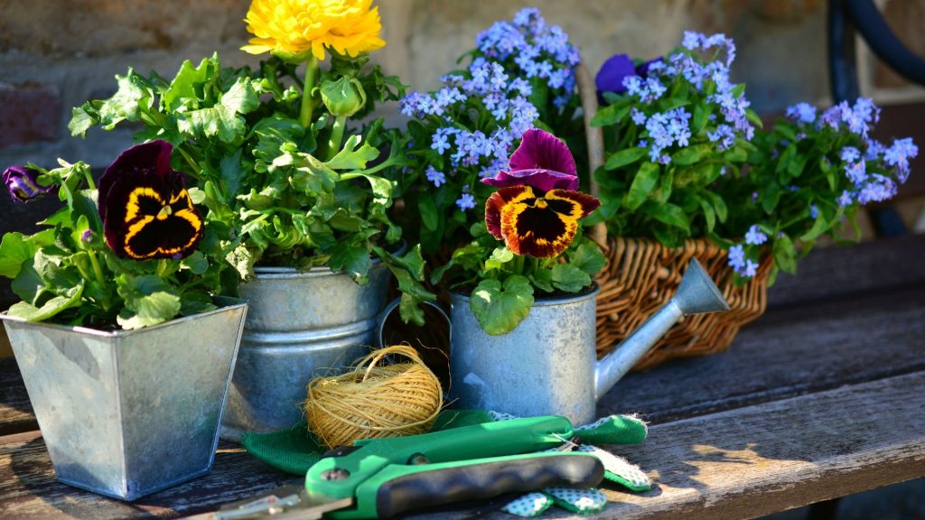 Où acheter du matériel de jardinage d&rsquo;occasion