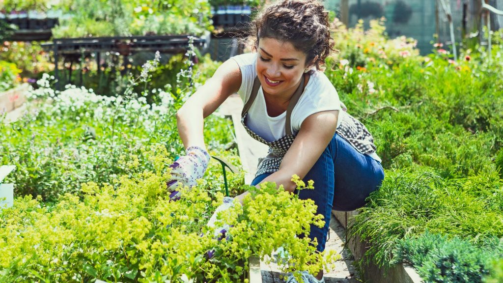 Le jardinage peut être un plaisir !