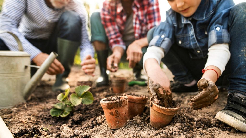 Comment choisir le meilleur matériel de jardinage professionnel ?