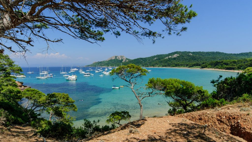 Porquerolles&nbsp;: découvrez cette île magnifique à 1H de Toulon