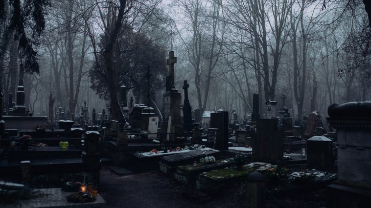 pexels koolshooters 6495747 1